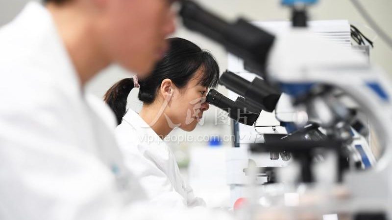 生物医药质量体系认证：揭秘其重要性及选择标准